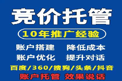 行业领先企业的sem竞价策略：成功案例剖析